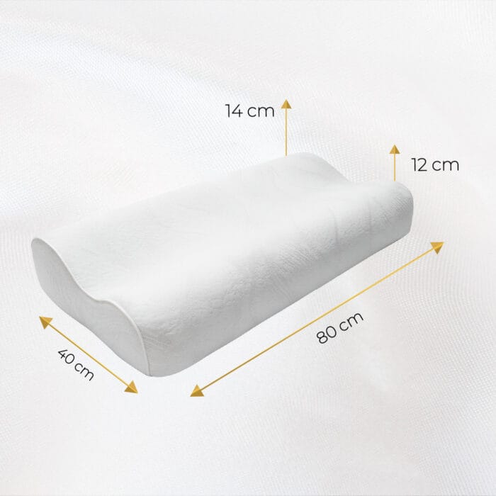 ERGONOMIC PLUS MALAIA HOME