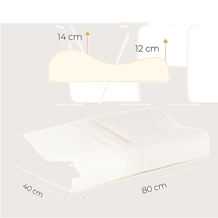 ERGONOMIC PLUS DE MEMORY