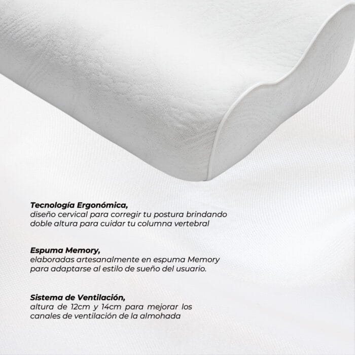 ERGONOMIC PLUS MALAIA HOME