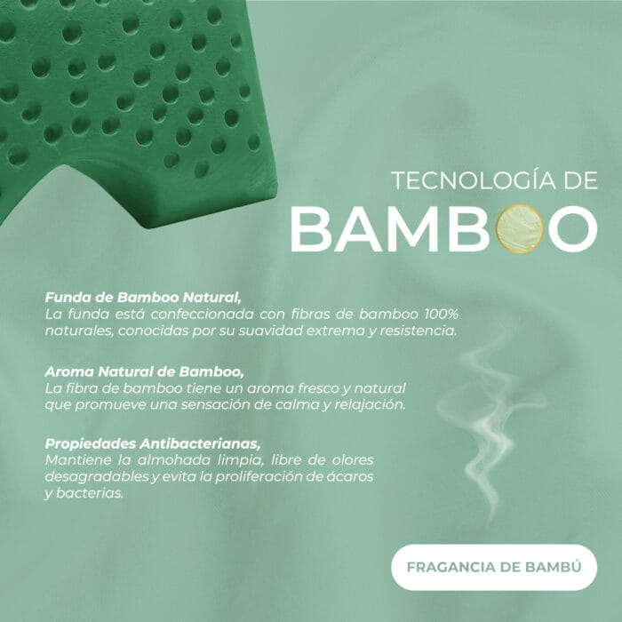 ERGONOMIC BAMBOO MALAIA HOME