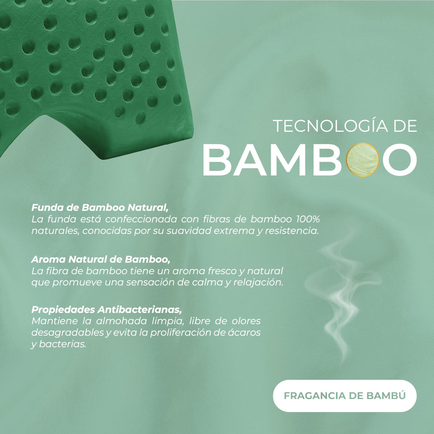 ERGONOMIC BAMBOO MALAIA HOME