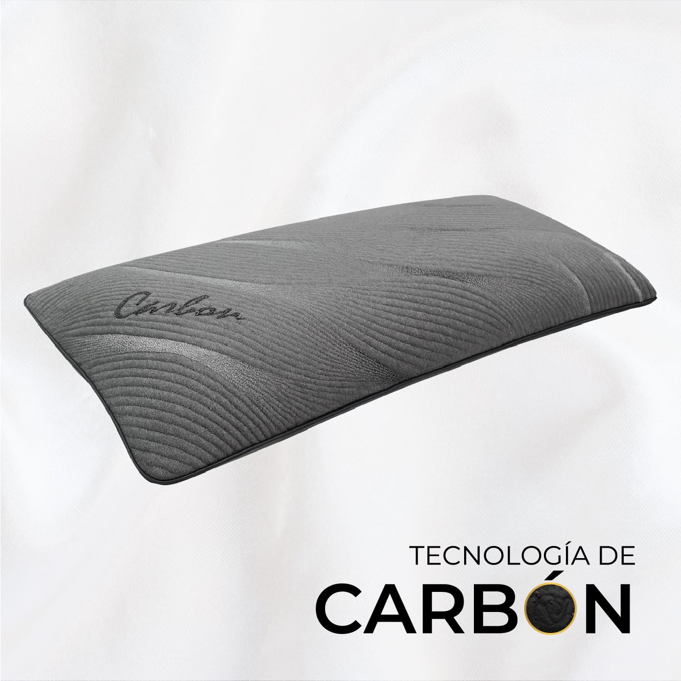 ALMOHADA GRANDE HOUSTON DE CARBON